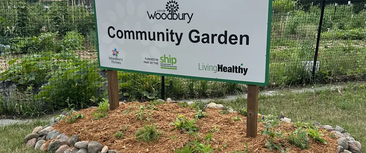 A Woodbury Thrives volunteer tending perennials at the community garden