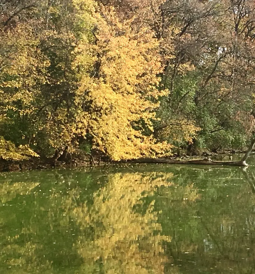 A quiet, tree-lined pond in Woodbury on an autumn afternoon